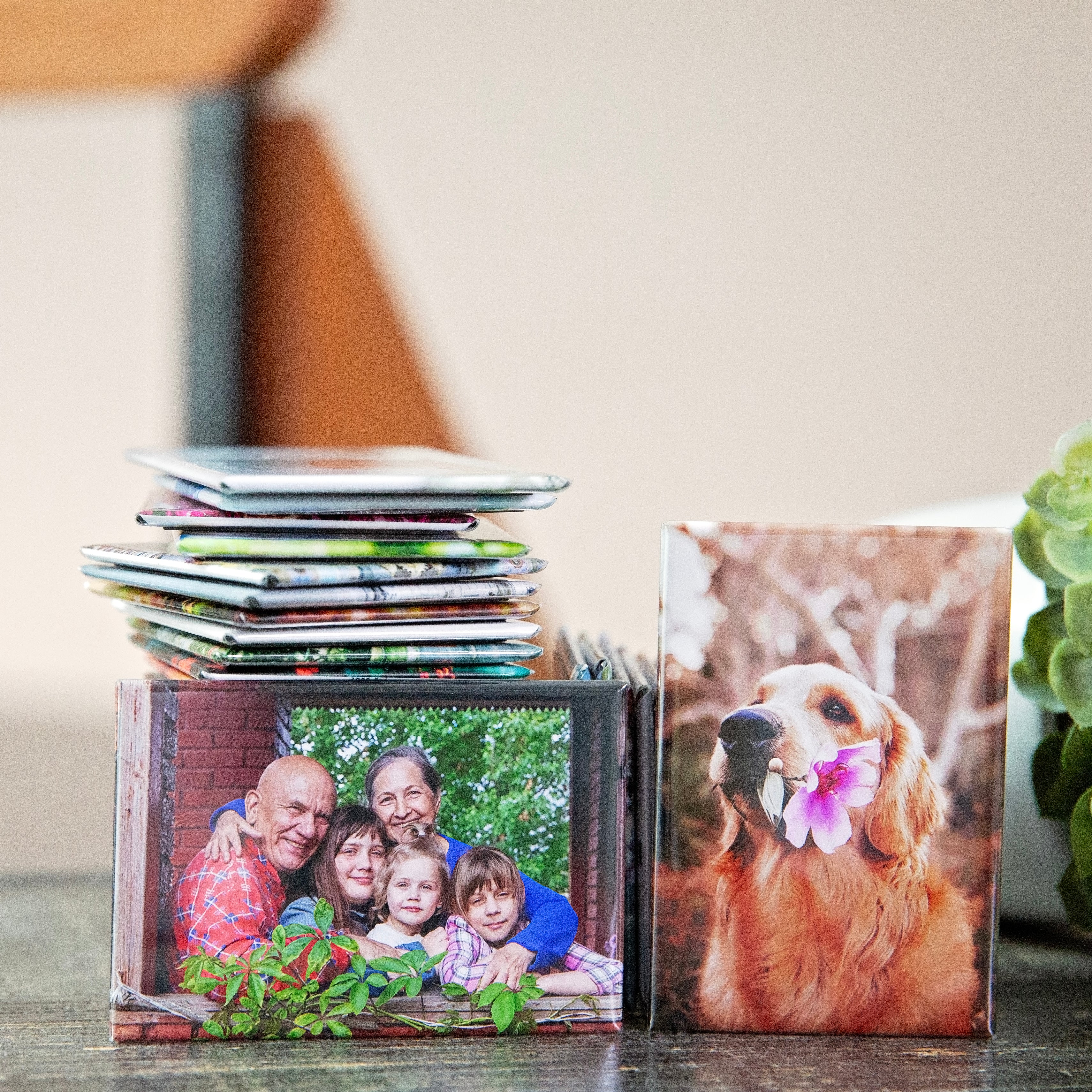 Personalized rectangular photo magnets stacked together, showing family and pet pictures.